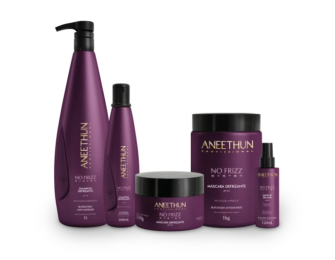 Produtos da linha No Frizz: shampoo, máscara e leave-in